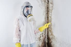 Best Air Quality Testing for Mold Spores in Greencastle, PA